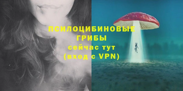 гидропоника Богородицк