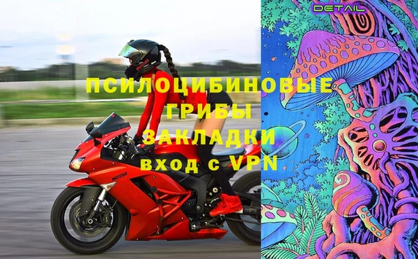 гидропоника Богданович