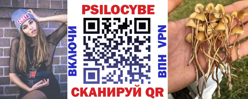 Псилоцибиновые грибы мицелий  blacksprut как зайти  Брянск 